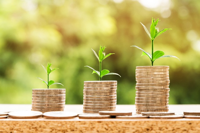 15 Passive Income Ideas to Build Wealth in 2025
