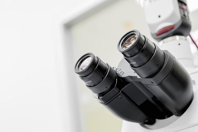 2025's Top 10 Scientific Discoveries: A Look Ahead