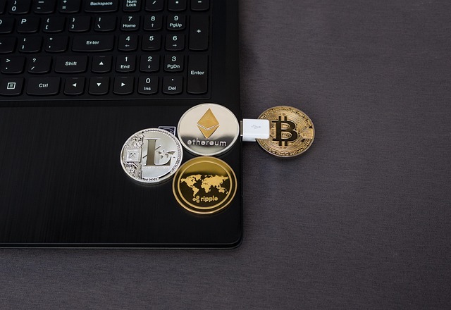 5 Best Crypto Wallets for Secure Storage in 2025