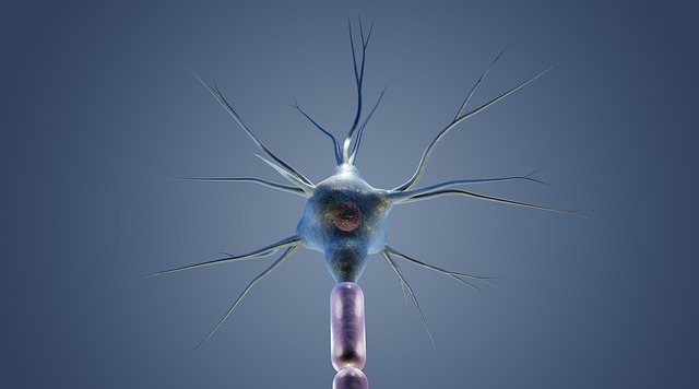 Artificial Neuron: Breakthrough Tech Runs on Bacterial Protein Nanowires