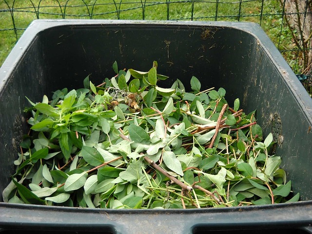 Creating a Zero-Waste Kitchen