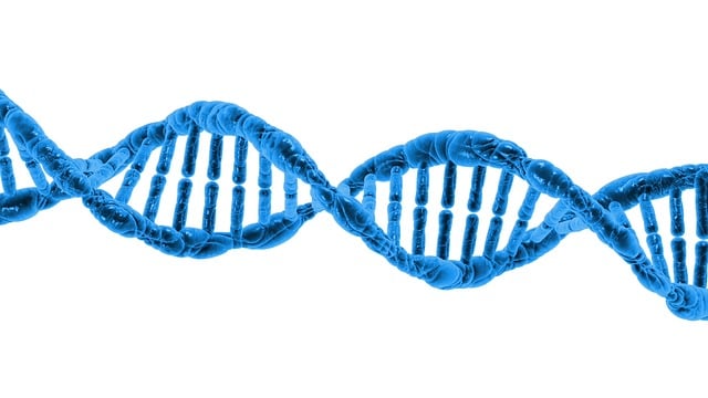 CRISPR Gene Editing: The Ethical Dilemmas We Can't Ignore