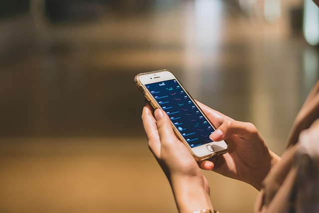 Gen Z Pet Parents: How TikTok is Driving Sales for Pet Accessories
