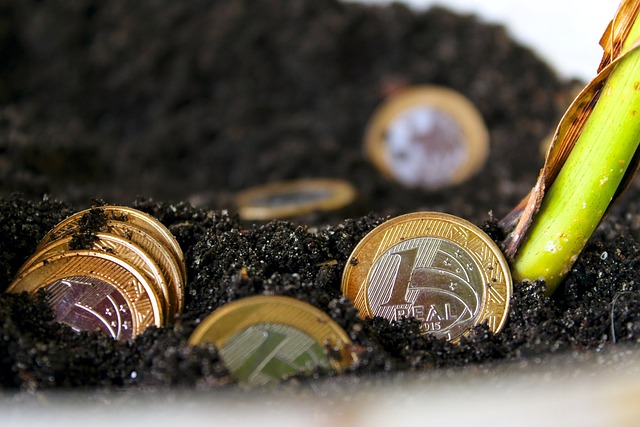 How to Teach Your Kids Financial Literacy (That Schools Don't)