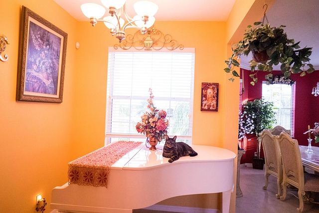 Luxury Pet Furniture: Sofas and Comfort Products Mimicking Human Decor