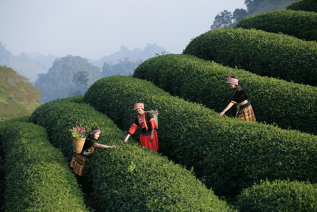 The Best Luxury Travel Experiences Around the World