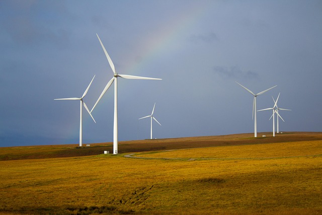 Top Eco-Friendly Products for a Sustainable Home