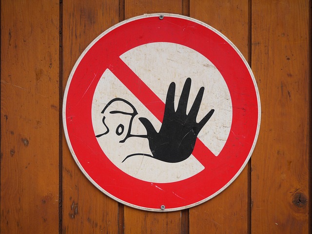 Who Issues Travel Advisories? Understanding Official Warnings & Sources