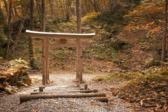 Why Travel to Japan? Top Reasons to Visit 2025